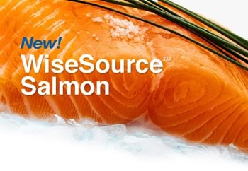 WiseSource Salmon